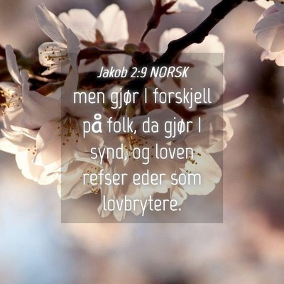 Picture 04 - Jakob 2:9 NORSK - men gjør I forskjell på folk, da gjør I synd, - Bible Verse Picture
