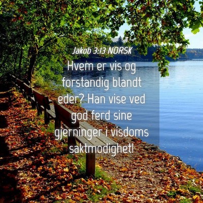 Picture 04 - Jakob 3:13 NORSK - Hvem er vis og forstandig blandt eder? Han vise - Bible Verse Picture