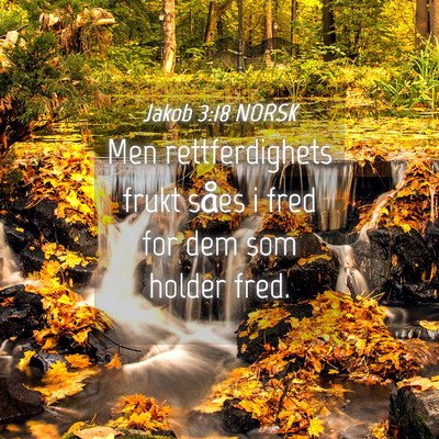 Picture 04 - Jakob 3:18 NORSK - Men rettferdighets frukt såes i fred for dem som - Bible Verse Picture