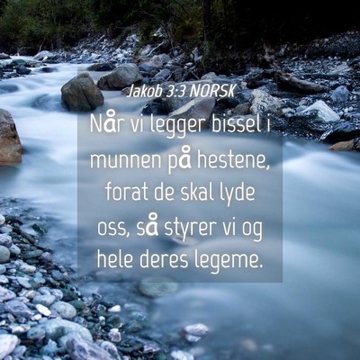 Picture 04 - Jakob 3:3 NORSK - Når vi legger bissel i munnen på hestene, forat - Bible Verse Picture