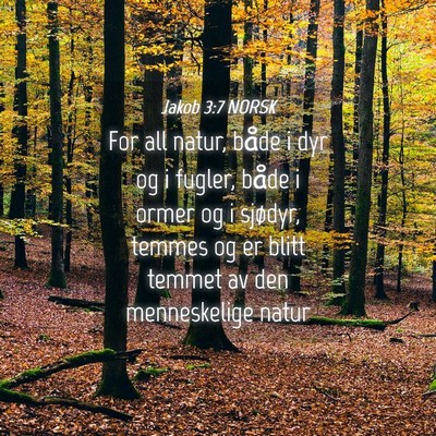Picture 04 - Jakob 3:7 NORSK - For all natur, både i dyr og i fugler, både i - Bible Verse Picture