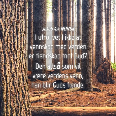Picture 04 - Jakob 4:4 NORSK - I utro! vet I ikke at vennskap med verden er - Bible Verse Picture