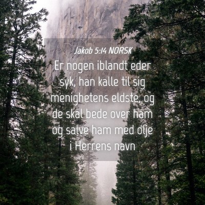 Picture 04 - Jakob 5:14 NORSK - Er nogen iblandt eder syk, han kalle til sig - Bible Verse Picture