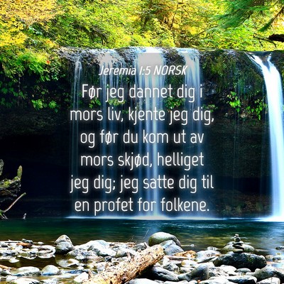 Picture 04 - Jeremia 1:5 NORSK - Før jeg dannet dig i mors liv, kjente jeg dig, - Bible Verse Picture