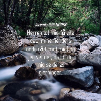 Picture 04 - Jeremia 11:18 NORSK - Herren lot mig få vite det, {mine fienders onde - Bible Verse Picture