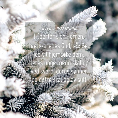 Picture 04 - Jeremia 11:22 NORSK - (-)derfor sier Herren, hærskarenes Gud, så: Se, - Bible Verse Picture