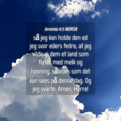 Picture 04 - Jeremia 11:5 NORSK - så jeg kan holde den ed jeg svor eders fedre, at - Bible Verse Picture