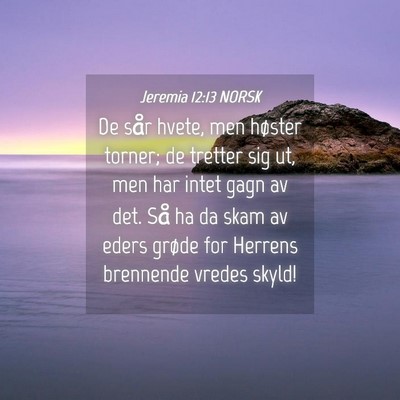 Picture 04 - Jeremia 12:13 NORSK - De sår hvete, men høster torner; de tretter sig - Bible Verse Picture