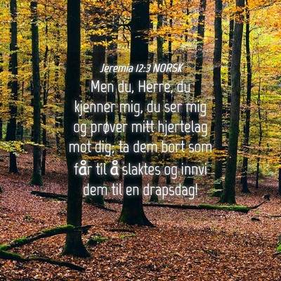 Picture 04 - Jeremia 12:3 NORSK - Men du, Herre, du kjenner mig, du ser mig og - Bible Verse Picture