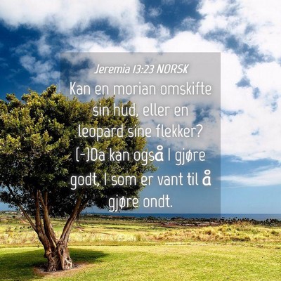 Picture 04 - Jeremia 13:23 NORSK - Kan en morian omskifte sin hud, eller en leopard - Bible Verse Picture