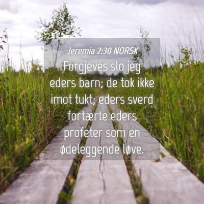 Picture 04 - Jeremia 2:30 NORSK - Forgjeves slo jeg eders barn; de tok ikke imot - Bible Verse Picture