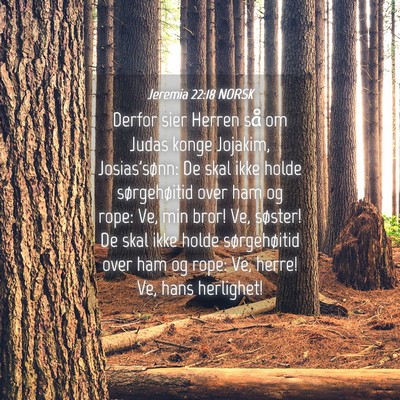 Picture 04 - Jeremia 22:18 NORSK - Derfor sier Herren så om Judas konge Jojakim, - Bible Verse Picture