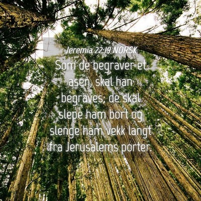 Picture 04 - Jeremia 22:19 NORSK - Som de begraver et asen, skal han begraves; de - Bible Verse Picture