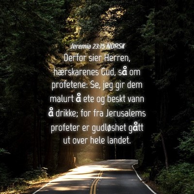 Picture 04 - Jeremia 23:15 NORSK - Derfor sier Herren, hærskarenes Gud, så om - Bible Verse Picture