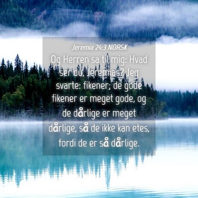 Picture 04 - Jeremia 24:3 NORSK - Og Herren sa til mig: Hvad ser du, Jeremias? Jeg - Bible Verse Picture