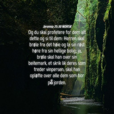 Picture 04 - Jeremia 25:30 NORSK - Og du skal profetere for dem alt dette og si til - Bible Verse Picture
