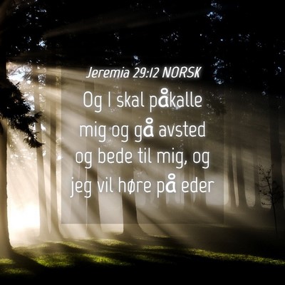 Picture 04 - Jeremia 29:12 NORSK - Og I skal påkalle mig og gå avsted og bede til - Bible Verse Picture