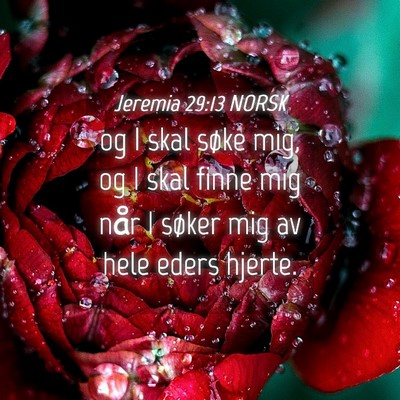 Picture 04 - Jeremia 29:13 NORSK - og I skal søke mig, og I skal finne mig når I - Bible Verse Picture