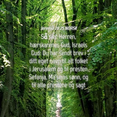 Picture 04 - Jeremia 29:25 NORSK - Så sier Herren, hærskarenes Gud, Israels Gud: - Bible Verse Picture