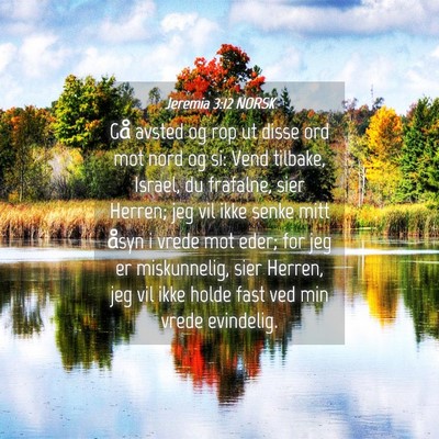 Picture 04 - Jeremia 3:12 NORSK - Gå avsted og rop ut disse ord mot nord og si: - Bible Verse Picture