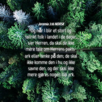Picture 04 - Jeremia 3:16 NORSK - Og når I blir et stort og tallrikt folk i landet - Bible Verse Picture