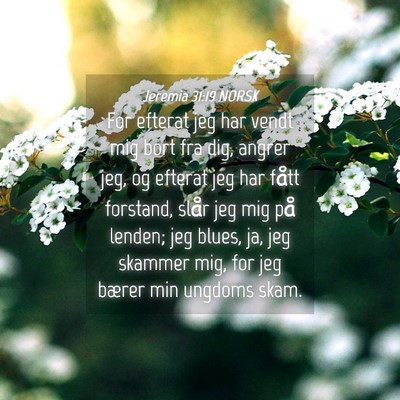 Picture 04 - Jeremia 31:19 NORSK - For efterat jeg har vendt mig bort fra dig, - Bible Verse Picture