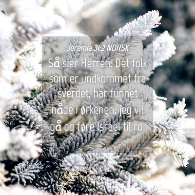 Picture 04 - Jeremia 31:2 NORSK - Så sier Herren: Det folk som er undkommet fra - Bible Verse Picture