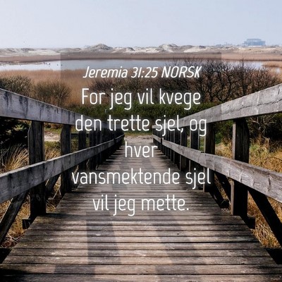 Picture 04 - Jeremia 31:25 NORSK - For jeg vil kvege den trette sjel, og hver - Bible Verse Picture