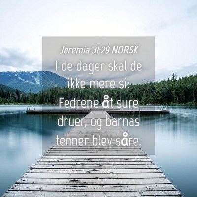 Picture 04 - Jeremia 31:29 NORSK - I de dager skal de ikke mere si: Fedrene åt sure - Bible Verse Picture