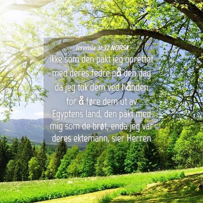 Picture 04 - Jeremia 31:32 NORSK - ikke som den pakt jeg oprettet med deres fedre - Bible Verse Picture