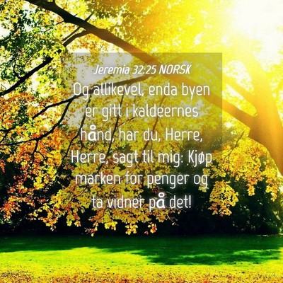 Picture 04 - Jeremia 32:25 NORSK - Og allikevel, enda byen er gitt i kaldeernes - Bible Verse Picture