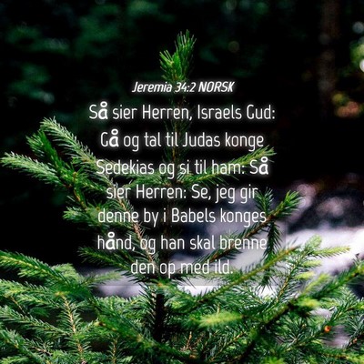 Picture 04 - Jeremia 34:2 NORSK - Så sier Herren, Israels Gud: Gå og tal til - Bible Verse Picture