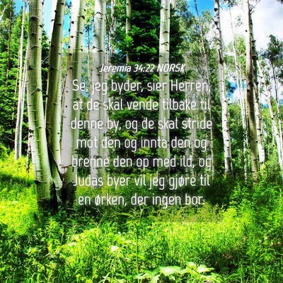 Picture 04 - Jeremia 34:22 NORSK - Se, jeg byder, sier Herren, at de skal vende - Bible Verse Picture
