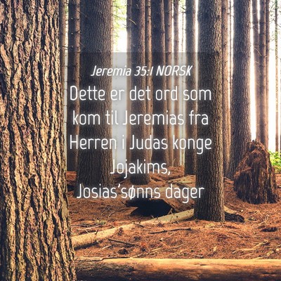 Picture 04 - Jeremia 35:1 NORSK - Dette er det ord som kom til Jeremias fra Herren - Bible Verse Picture