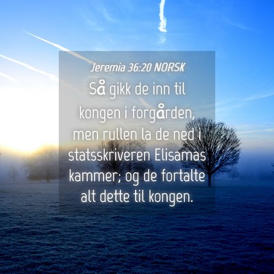 Picture 04 - Jeremia 36:20 NORSK - Så gikk de inn til kongen i forgården, men - Bible Verse Picture