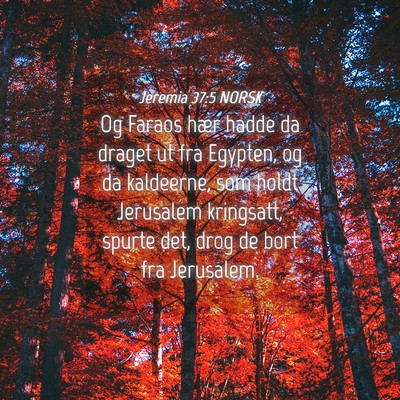 Picture 04 - Jeremia 37:5 NORSK - Og Faraos hær hadde da draget ut fra Egypten, og - Bible Verse Picture
