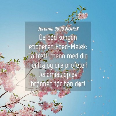Picture 04 - Jeremia 38:10 NORSK - Da bød kongen etioperen Ebed-Melek: Ta tretti - Bible Verse Picture