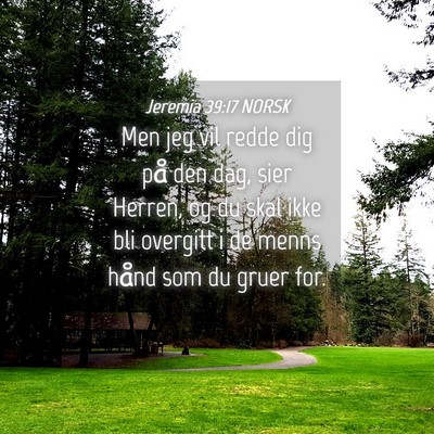 Picture 04 - Jeremia 39:17 NORSK - Men jeg vil redde dig på den dag, sier Herren, - Bible Verse Picture