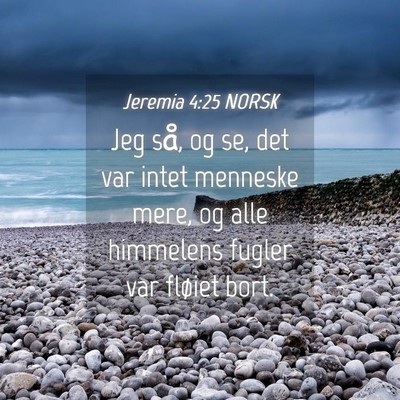 Picture 04 - Jeremia 4:25 NORSK - Jeg så, og se, det var intet menneske mere, og - Bible Verse Picture