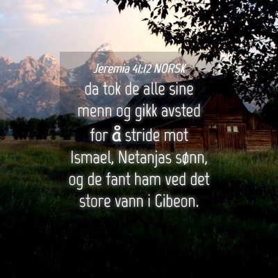 Picture 04 - Jeremia 41:12 NORSK - da tok de alle sine menn og gikk avsted for å - Bible Verse Picture