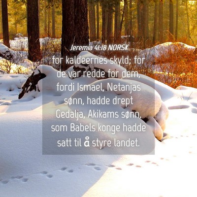 Picture 04 - Jeremia 41:18 NORSK - for kaldeernes skyld; for de var redde for dem, - Bible Verse Picture