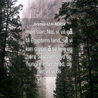 Picture 04 - Jeremia 42:14 NORSK - men sier: Nei, vi vil gå til Egyptens land, så - Bible Verse Picture