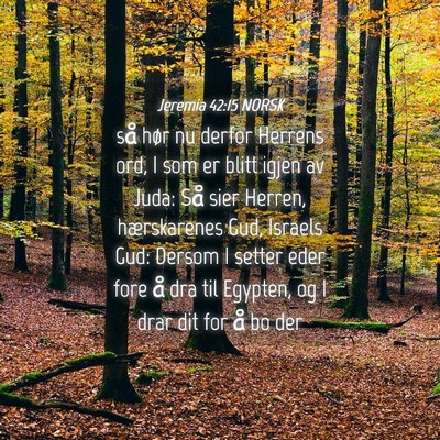 Picture 04 - Jeremia 42:15 NORSK - så hør nu derfor Herrens ord, I som er blitt - Bible Verse Picture