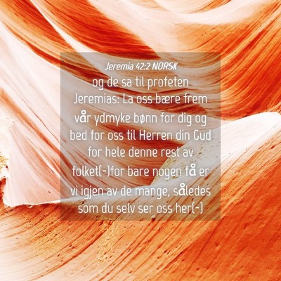 Picture 04 - Jeremia 42:2 NORSK - og de sa til profeten Jeremias: La oss bære frem - Bible Verse Picture