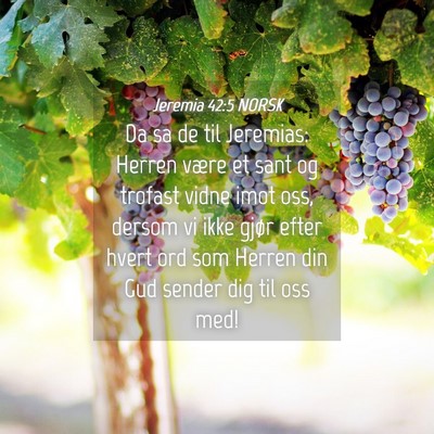 Picture 04 - Jeremia 42:5 NORSK - Da sa de til Jeremias: Herren være et sant og - Bible Verse Picture