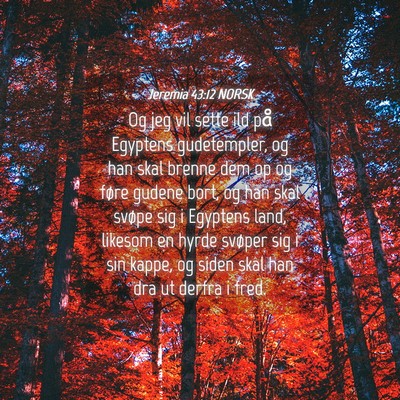Picture 04 - Jeremia 43:12 NORSK - Og jeg vil sette ild på Egyptens gudetempler, og - Bible Verse Picture