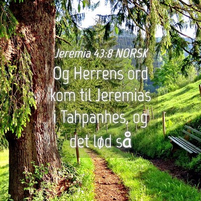 Picture 04 - Jeremia 43:8 NORSK - Og Herrens ord kom til Jeremias i Tahpanhes, og - Bible Verse Picture