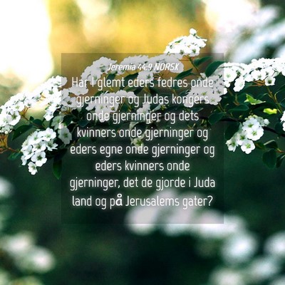 Picture 04 - Jeremia 44:9 NORSK - Har I glemt eders fedres onde gjerninger og Judas - Bible Verse Picture