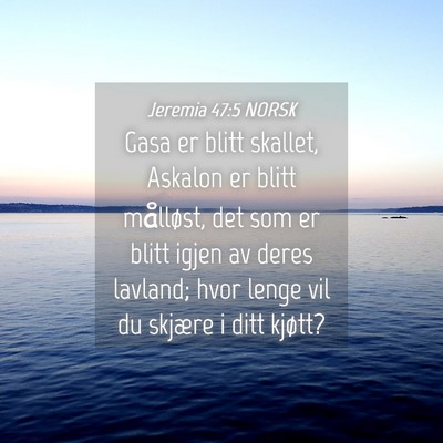 Picture 04 - Jeremia 47:5 NORSK - Gasa er blitt skallet, Askalon er blitt - Bible Verse Picture