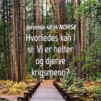 Picture 04 - Jeremia 48:14 NORSK - Hvorledes kan I si: Vi er helter og djerve - Bible Verse Picture